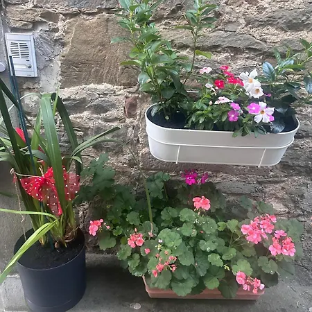 Tatil Evi La Vecchia Dogana *